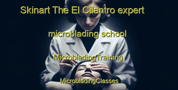 Skinart The El Cilantro expert microblading school | #MicrobladingTraining #MicrobladingClasses #SkinartTraining-Mexico