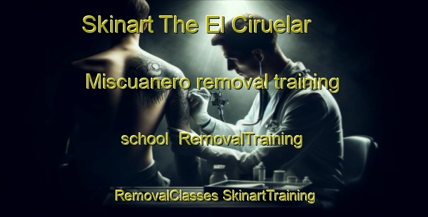 Skinart The El Ciruelar  Miscuanero removal training school | #RemovalTraining #RemovalClasses #SkinartTraining-Mexico