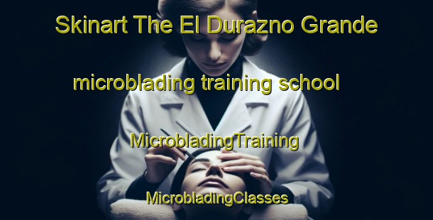 Skinart The El Durazno Grande microblading training school | #MicrobladingTraining #MicrobladingClasses #SkinartTraining-Mexico