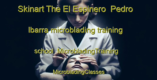 Skinart The El Espinero  Pedro Ibarra microblading training school | #MicrobladingTraining #MicrobladingClasses #SkinartTraining-Mexico