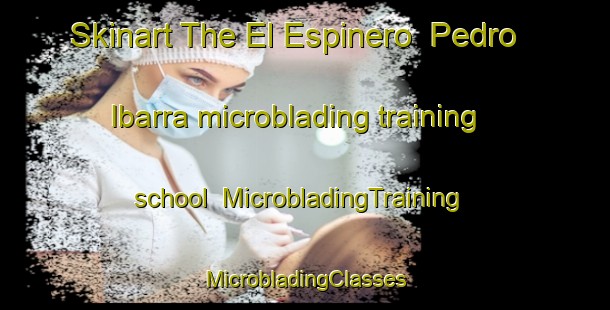 Skinart The El Espinero  Pedro Ibarra microblading training school | #MicrobladingTraining #MicrobladingClasses #SkinartTraining-Mexico