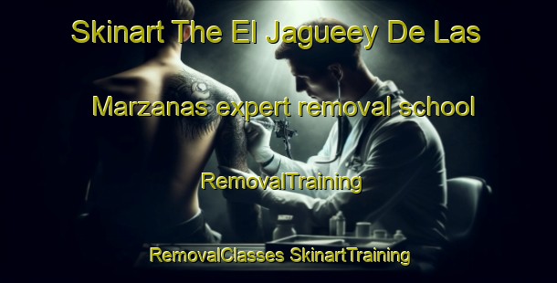 Skinart The El Jagueey De Las Marzanas expert removal school | #RemovalTraining #RemovalClasses #SkinartTraining-Mexico