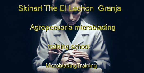 Skinart The El Lechon  Granja Agropecuaria microblading training school | #MicrobladingTraining #MicrobladingClasses #SkinartTraining-Mexico