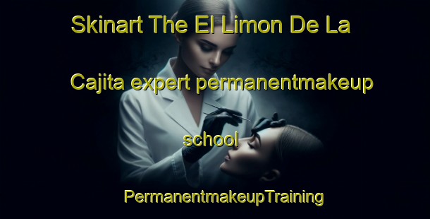 Skinart The El Limon De La Cajita expert permanentmakeup school | #PermanentmakeupTraining #PermanentmakeupClasses #SkinartTraining-Mexico