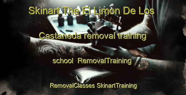 Skinart The El Limon De Los Castaneda removal training school | #RemovalTraining #RemovalClasses #SkinartTraining-Mexico