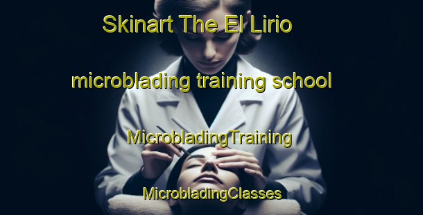 Skinart The El Lirio microblading training school | #MicrobladingTraining #MicrobladingClasses #SkinartTraining-Mexico