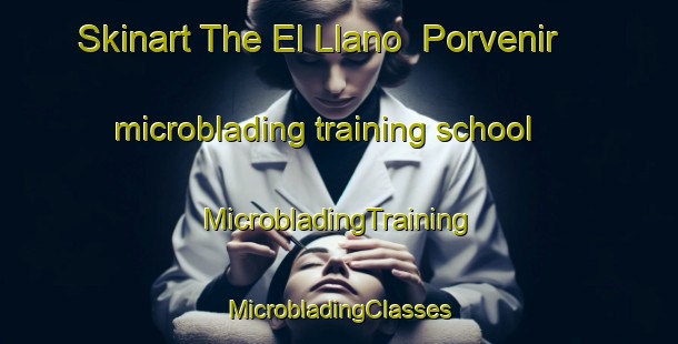 Skinart The El Llano  Porvenir microblading training school | #MicrobladingTraining #MicrobladingClasses #SkinartTraining-Mexico