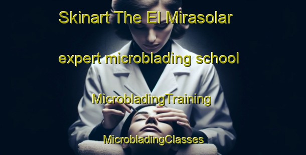 Skinart The El Mirasolar expert microblading school | #MicrobladingTraining #MicrobladingClasses #SkinartTraining-Mexico