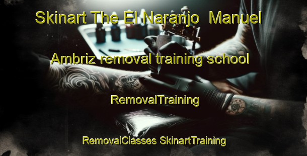 Skinart The El Naranjo  Manuel Ambriz removal training school | #RemovalTraining #RemovalClasses #SkinartTraining-Mexico