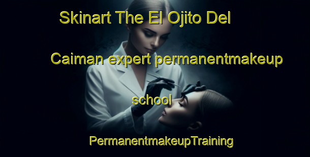 Skinart The El Ojito Del Caiman expert permanentmakeup school | #PermanentmakeupTraining #PermanentmakeupClasses #SkinartTraining-Mexico