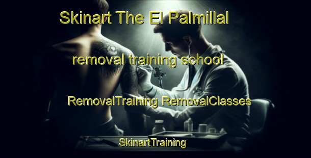 Skinart The El Palmillal removal training school | #RemovalTraining #RemovalClasses #SkinartTraining-Mexico