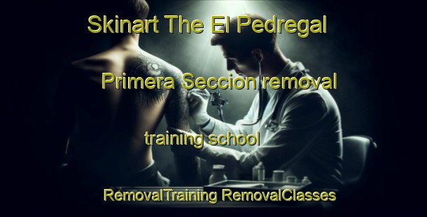 Skinart The El Pedregal Primera Seccion removal training school | #RemovalTraining #RemovalClasses #SkinartTraining-Mexico