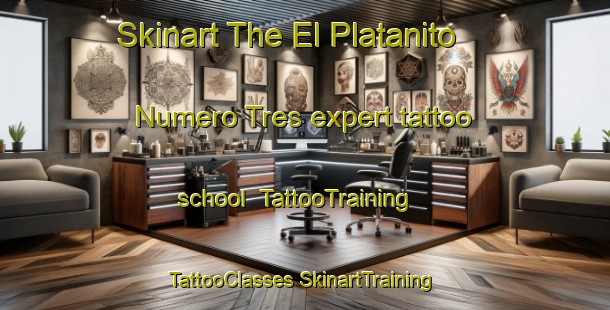 Skinart The El Platanito Numero Tres expert tattoo school | #TattooTraining #TattooClasses #SkinartTraining-Mexico