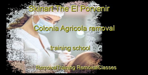 Skinart The El Porvenir  Colonia Agricola removal training school | #RemovalTraining #RemovalClasses #SkinartTraining-Mexico