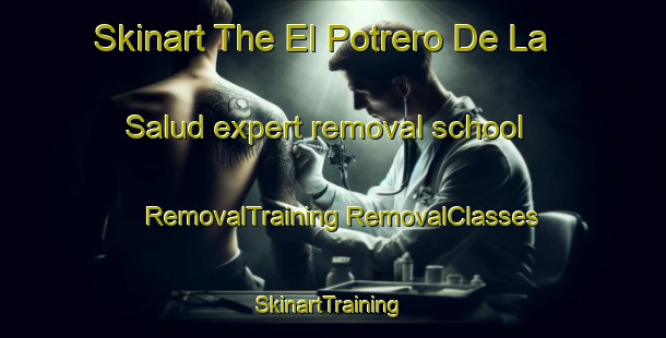 Skinart The El Potrero De La Salud expert removal school | #RemovalTraining #RemovalClasses #SkinartTraining-Mexico