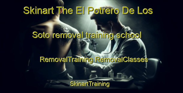 Skinart The El Potrero De Los Soto removal training school | #RemovalTraining #RemovalClasses #SkinartTraining-Mexico