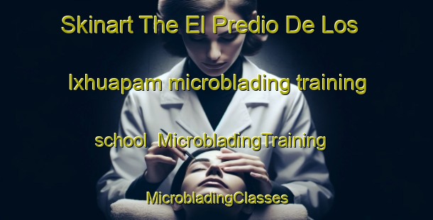 Skinart The El Predio De Los Ixhuapam microblading training school | #MicrobladingTraining #MicrobladingClasses #SkinartTraining-Mexico