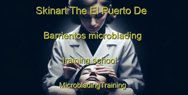 Skinart The El Puerto De Barrientos microblading training school | #MicrobladingTraining #MicrobladingClasses #SkinartTraining-Mexico