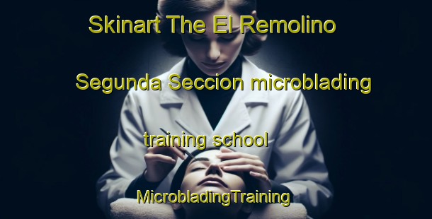 Skinart The El Remolino Segunda Seccion microblading training school | #MicrobladingTraining #MicrobladingClasses #SkinartTraining-Mexico