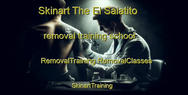 Skinart The El Salatito removal training school | #RemovalTraining #RemovalClasses #SkinartTraining-Mexico