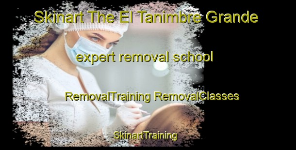 Skinart The El Tanimbre Grande expert removal school | #RemovalTraining #RemovalClasses #SkinartTraining-Mexico