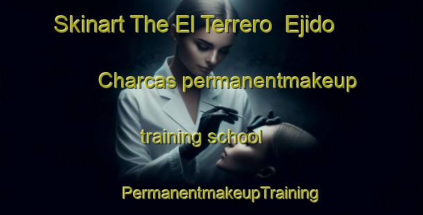 Skinart The El Terrero  Ejido Charcas permanentmakeup training school | #PermanentmakeupTraining #PermanentmakeupClasses #SkinartTraining-Mexico