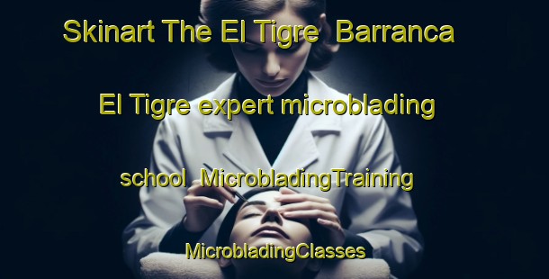 Skinart The El Tigre  Barranca El Tigre expert microblading school | #MicrobladingTraining #MicrobladingClasses #SkinartTraining-Mexico