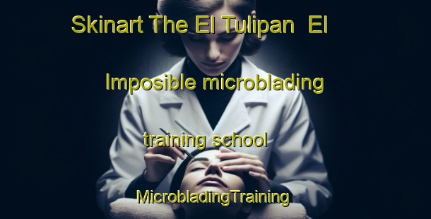 Skinart The El Tulipan  El Imposible microblading training school | #MicrobladingTraining #MicrobladingClasses #SkinartTraining-Mexico