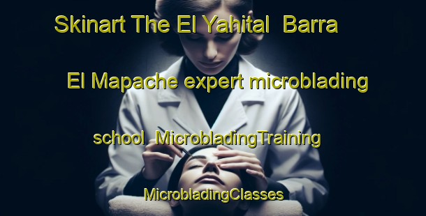 Skinart The El Yahital  Barra El Mapache expert microblading school | #MicrobladingTraining #MicrobladingClasses #SkinartTraining-Mexico