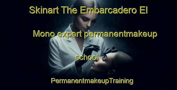 Skinart The Embarcadero El Mono expert permanentmakeup school | #PermanentmakeupTraining #PermanentmakeupClasses #SkinartTraining-Mexico