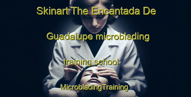 Skinart The Encantada De Guadalupe microblading training school | #MicrobladingTraining #MicrobladingClasses #SkinartTraining-Mexico