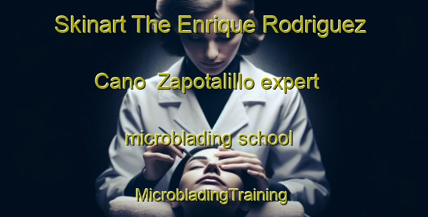 Skinart The Enrique Rodriguez Cano  Zapotalillo expert microblading school | #MicrobladingTraining #MicrobladingClasses #SkinartTraining-Mexico