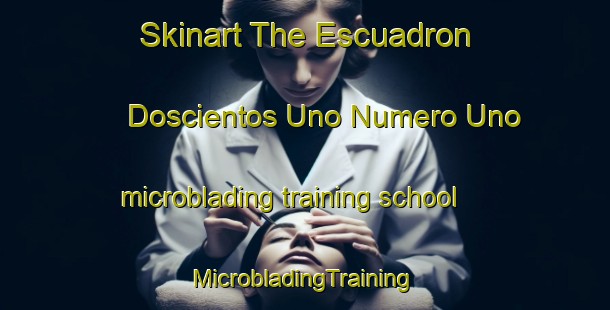 Skinart The Escuadron Doscientos Uno Numero Uno microblading training school | #MicrobladingTraining #MicrobladingClasses #SkinartTraining-Mexico