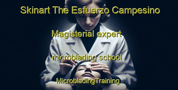 Skinart The Esfuerzo Campesino Magisterial expert microblading school | #MicrobladingTraining #MicrobladingClasses #SkinartTraining-Mexico