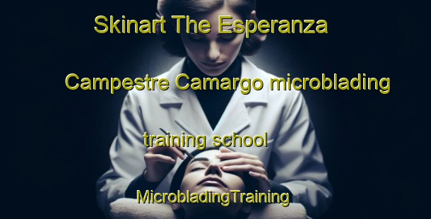 Skinart The Esperanza  Campestre Camargo microblading training school | #MicrobladingTraining #MicrobladingClasses #SkinartTraining-Mexico