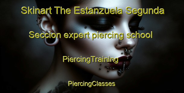 Skinart The Estanzuela Segunda Seccion expert piercing school | #PiercingTraining #PiercingClasses #SkinartTraining-Mexico