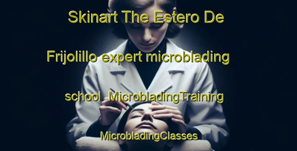 Skinart The Estero De Frijolillo expert microblading school | #MicrobladingTraining #MicrobladingClasses #SkinartTraining-Mexico