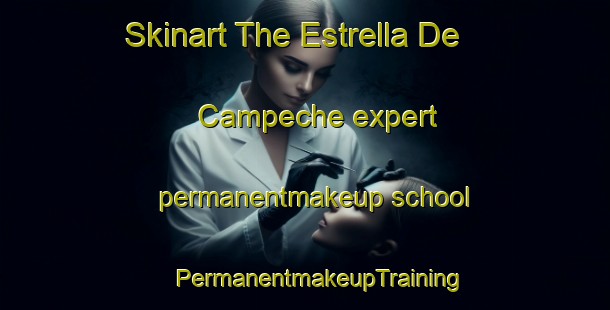 Skinart The Estrella De Campeche expert permanentmakeup school | #PermanentmakeupTraining #PermanentmakeupClasses #SkinartTraining-Mexico