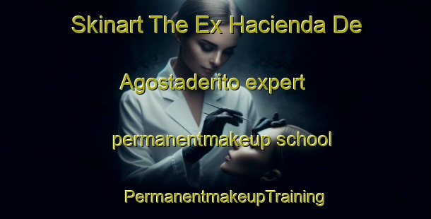 Skinart The Ex Hacienda De Agostaderito expert permanentmakeup school | #PermanentmakeupTraining #PermanentmakeupClasses #SkinartTraining-Mexico