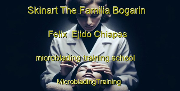 Skinart The Familia Bogarin Felix  Ejido Chiapas microblading training school | #MicrobladingTraining #MicrobladingClasses #SkinartTraining-Mexico