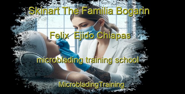 Skinart The Familia Bogarin Felix  Ejido Chiapas microblading training school | #MicrobladingTraining #MicrobladingClasses #SkinartTraining-Mexico