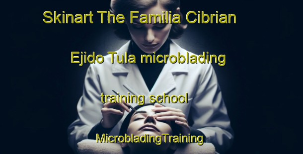 Skinart The Familia Cibrian  Ejido Tula microblading training school | #MicrobladingTraining #MicrobladingClasses #SkinartTraining-Mexico