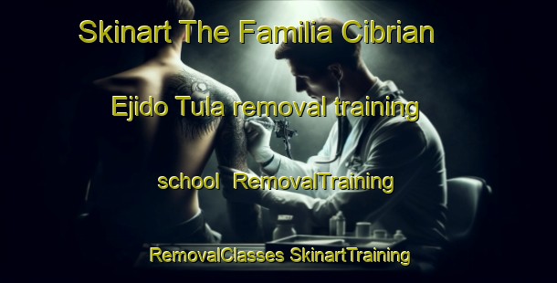 Skinart The Familia Cibrian  Ejido Tula removal training school | #RemovalTraining #RemovalClasses #SkinartTraining-Mexico