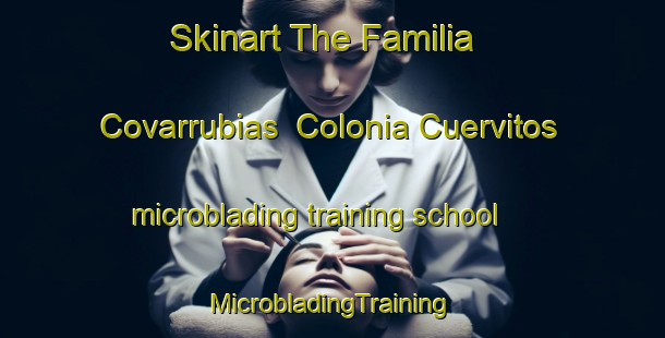 Skinart The Familia Covarrubias  Colonia Cuervitos microblading training school | #MicrobladingTraining #MicrobladingClasses #SkinartTraining-Mexico