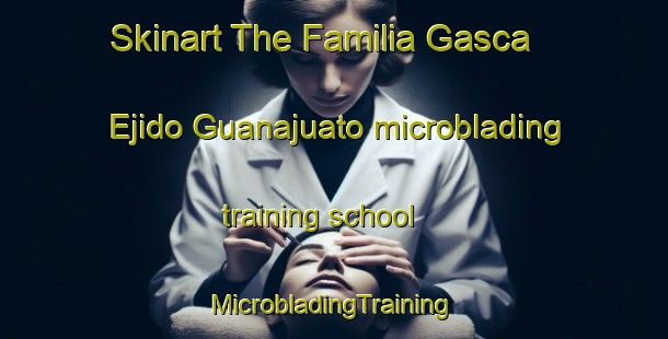 Skinart The Familia Gasca  Ejido Guanajuato microblading training school | #MicrobladingTraining #MicrobladingClasses #SkinartTraining-Mexico