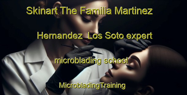 Skinart The Familia Martinez Hernandez  Los Soto expert microblading school | #MicrobladingTraining #MicrobladingClasses #SkinartTraining-Mexico