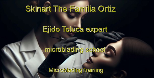 Skinart The Familia Ortiz  Ejido Toluca expert microblading school | #MicrobladingTraining #MicrobladingClasses #SkinartTraining-Mexico