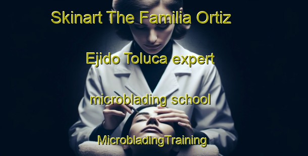 Skinart The Familia Ortiz  Ejido Toluca expert microblading school | #MicrobladingTraining #MicrobladingClasses #SkinartTraining-Mexico