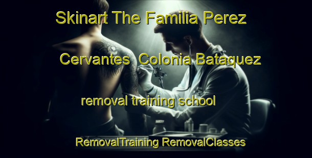 Skinart The Familia Perez Cervantes  Colonia Bataquez removal training school | #RemovalTraining #RemovalClasses #SkinartTraining-Mexico