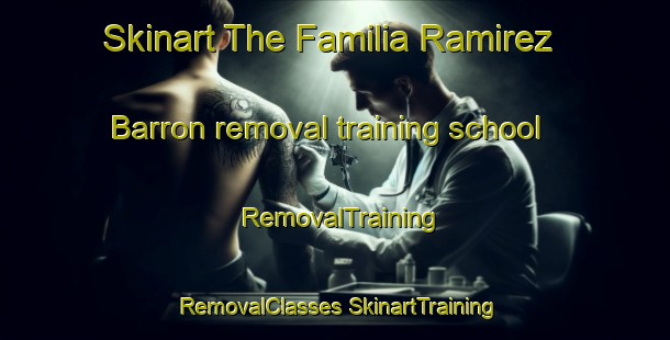 Skinart The Familia Ramirez Barron removal training school | #RemovalTraining #RemovalClasses #SkinartTraining-Mexico